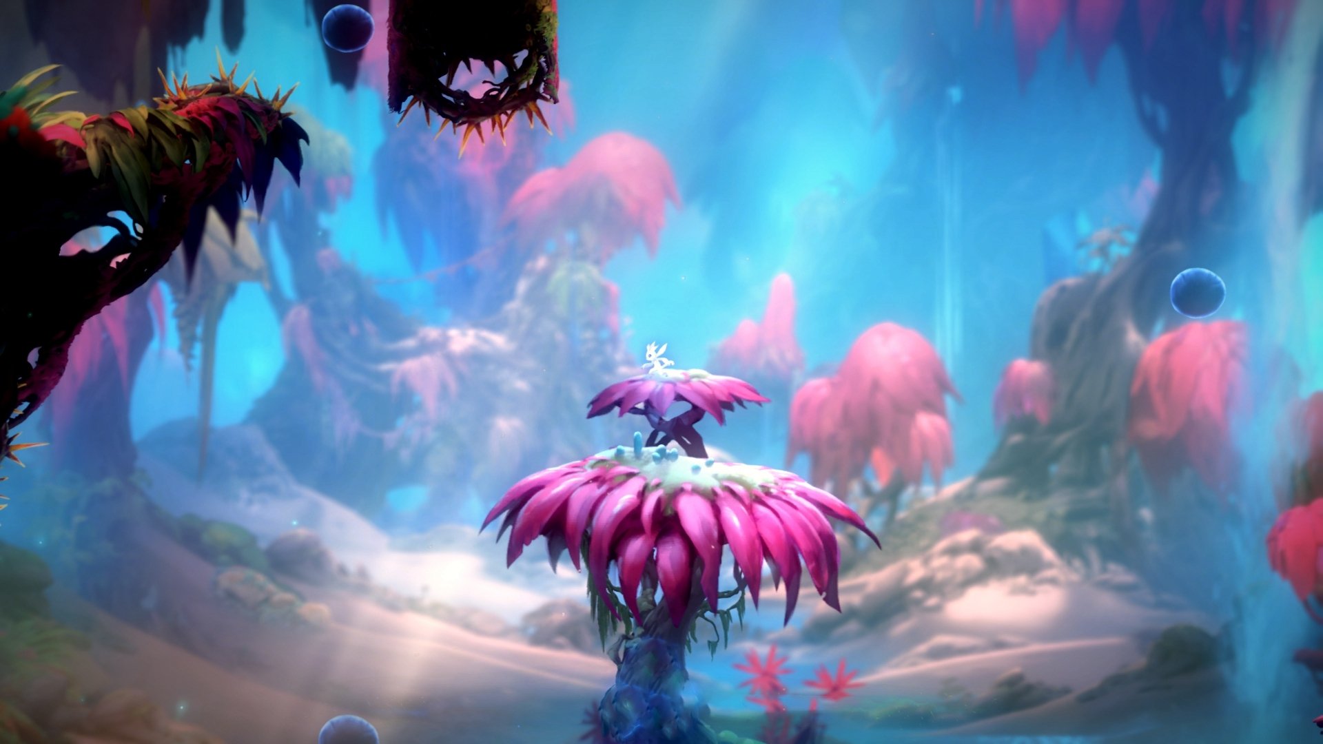 kaiyun入口-v7.2.5，当代码在情人节前夜跳动